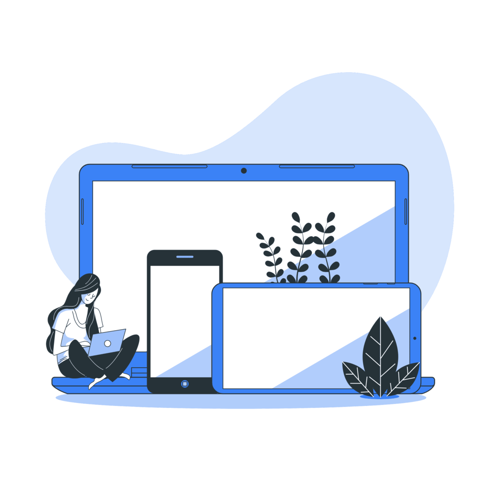 WordPress Developer